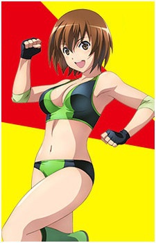 Moe Fukuoka Anime Character Animebricks