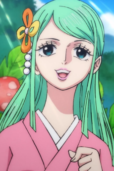 Toki Toki no Mi, One Piece Wiki