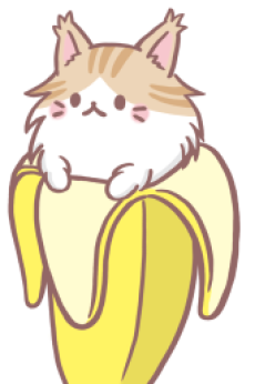 Maine Coon Bananya