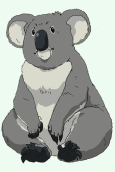 Koala