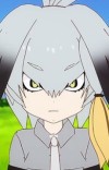 Shoebill