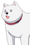 Inu