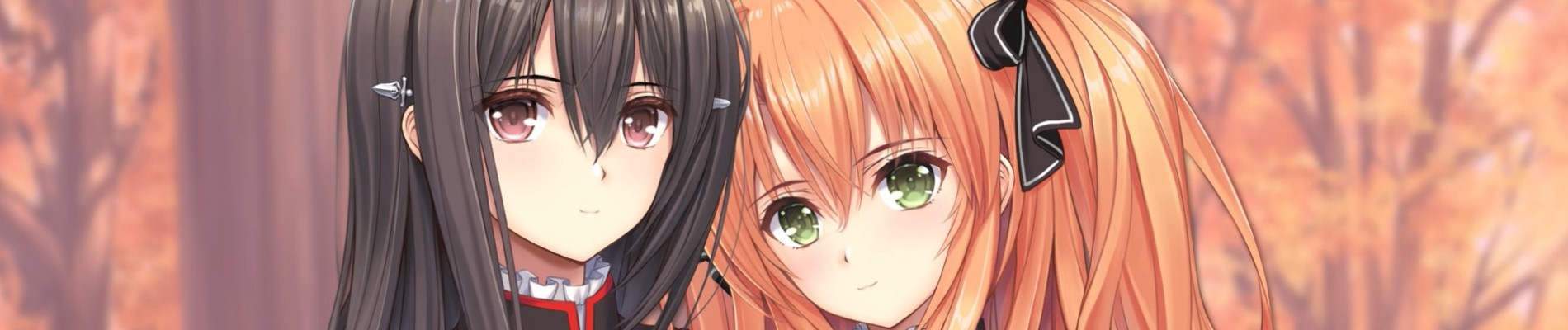 banner anime