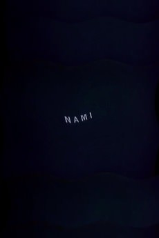 Cover Art for Nami