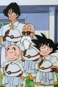 Cover Art for Dragon Ball Specials