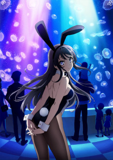 Cover Image of Seishun Buta Yarou wa Bunny Girl Senpai no Yume wo Minai
