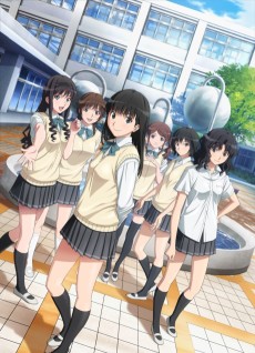 Cover Art for Amagami SS+ plus