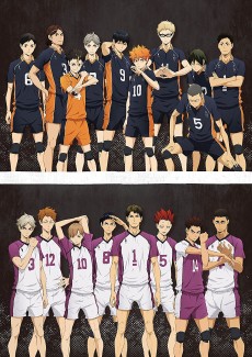 Haikyuu Karasuno Koukou Vs Shiratorizawa Gakuen Koukou Haikyu