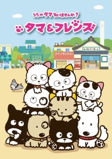 Cover Art for Tama & Friends: Uchi no Tama Shirimasenka?