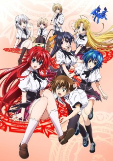 Cover Art for High School DxD NEW