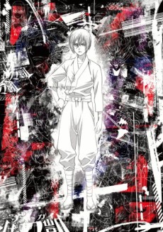 Cover Art for Sword Gai The Animation