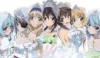 IS: Infinite Stratos 2 - Infinite Wedding