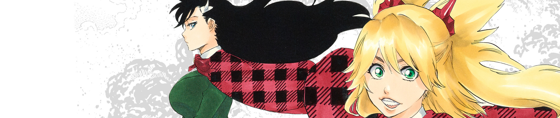 Details banner