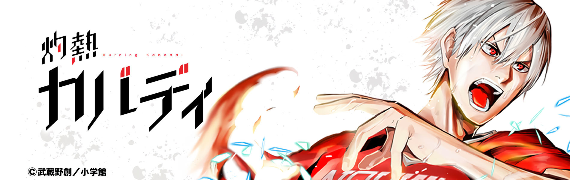 banner anime