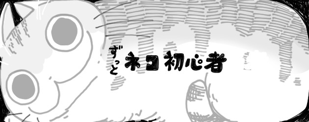 banner anime