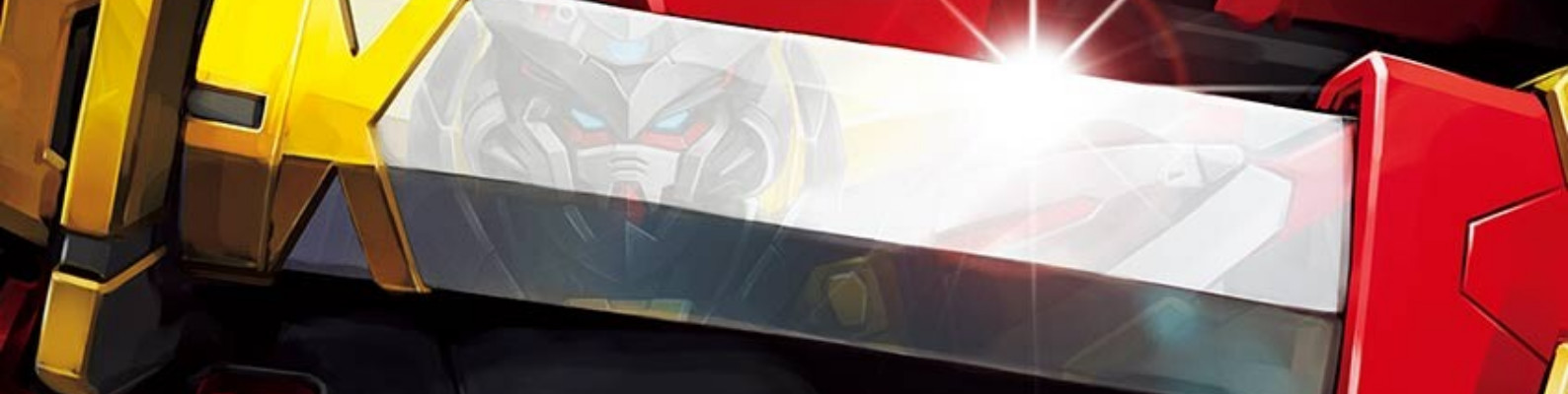 Details banner