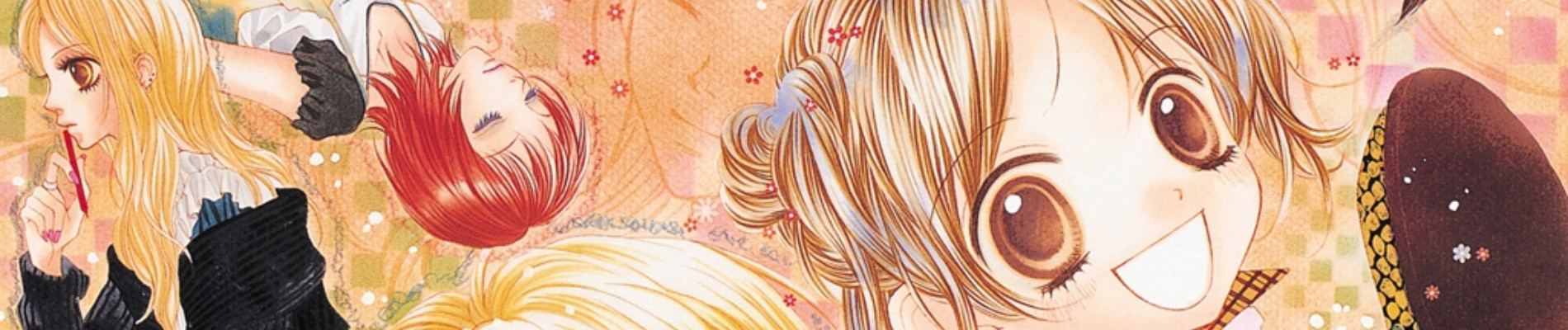 Details banner