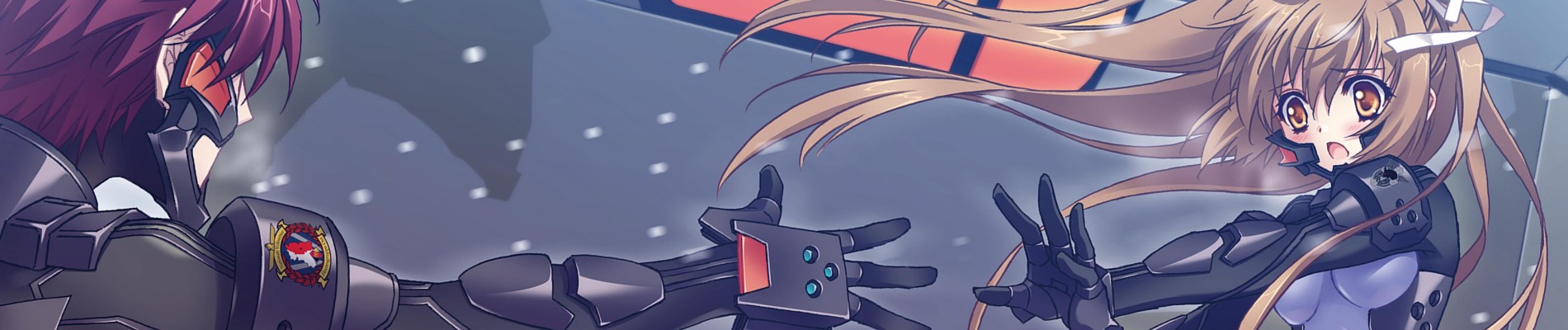 Details banner