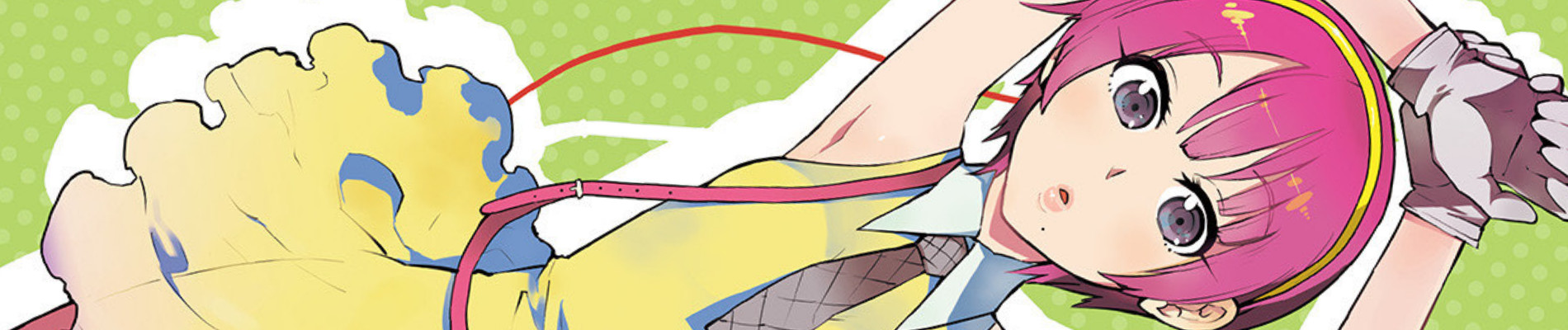 Details banner