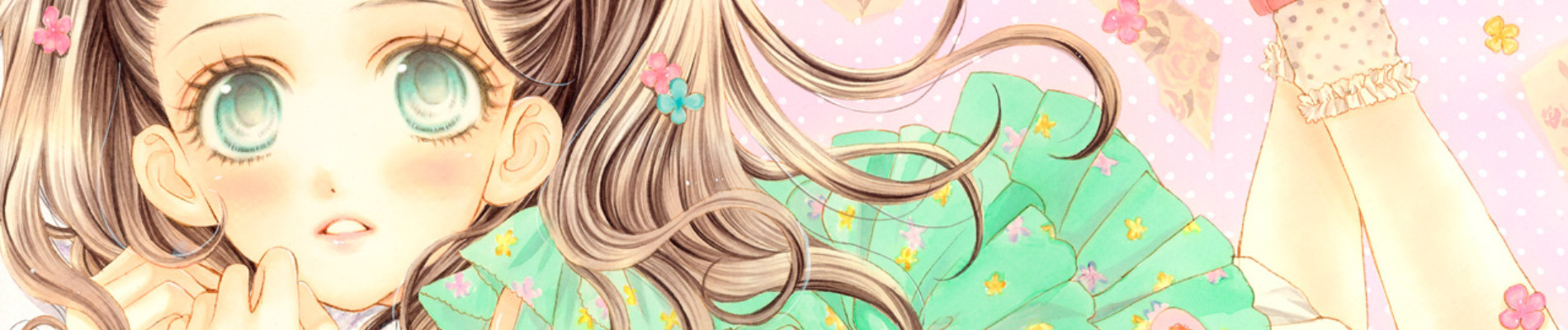 Details banner