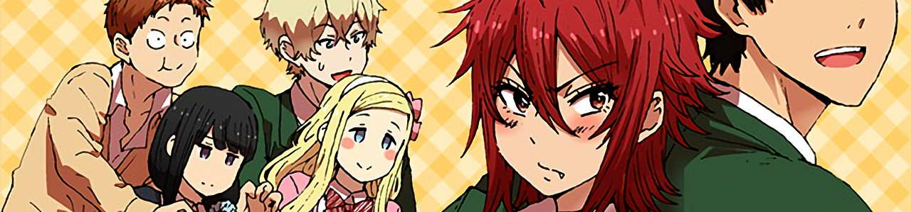 banner anime