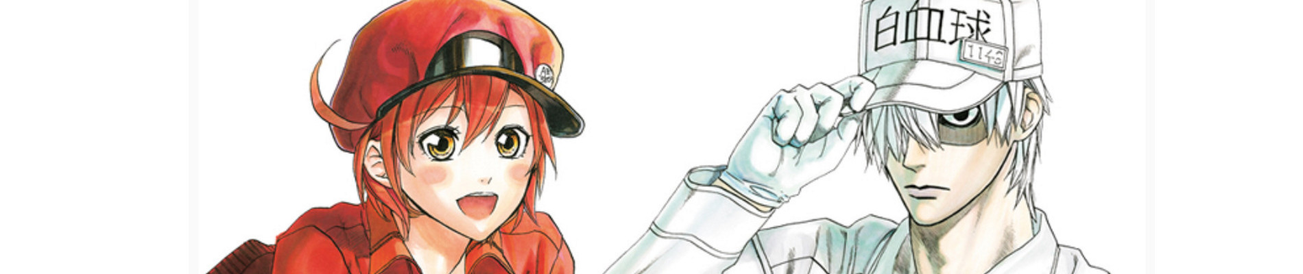 banner anime