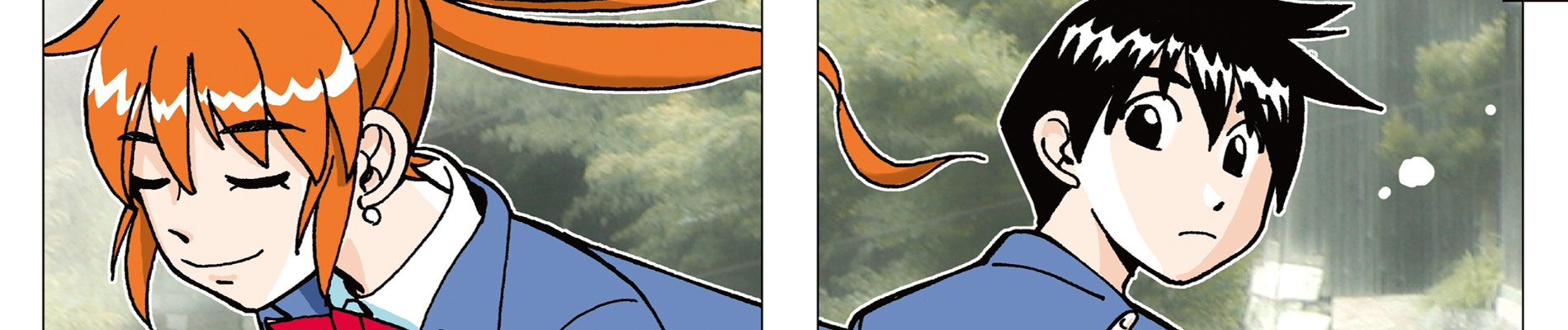 Details banner