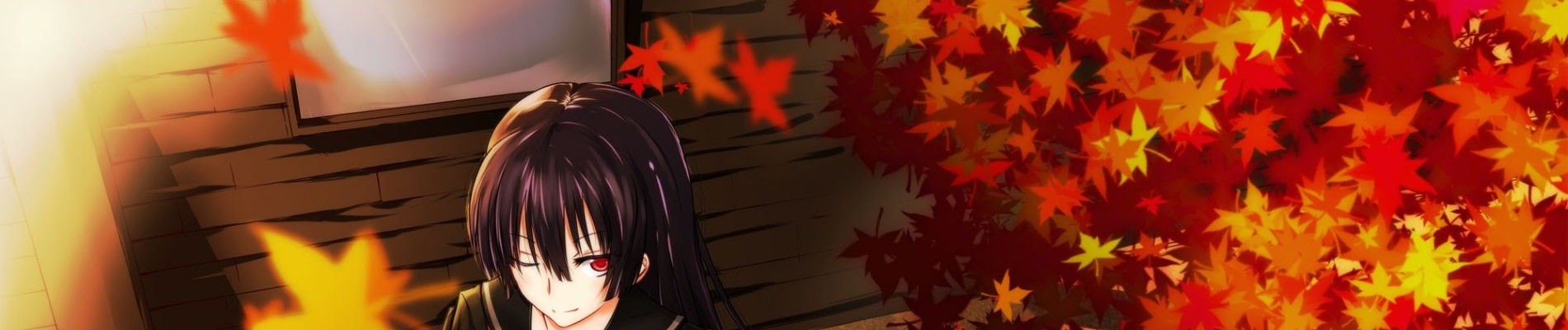 banner anime