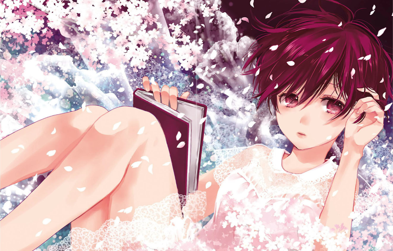 banner anime