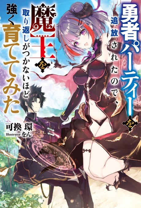 Yuusha Party o Tsuihou Sareta Seirei Jutsushi (Light Novel) –