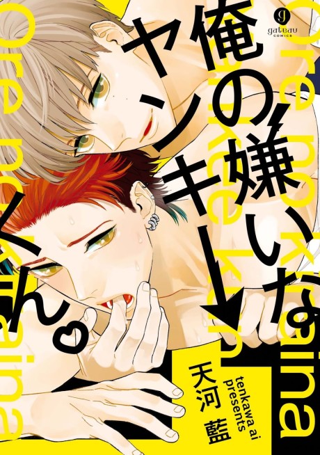 Manga Like Ore no Kirai na Yankee-kun | AniBrain