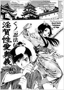 Cover Art for Kunoichi Ninpouden Inga Seiai Ougi