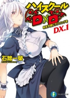 Cover Art for High School DxD DX