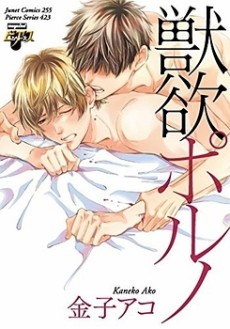 Cover Art for Juuyoku Porno