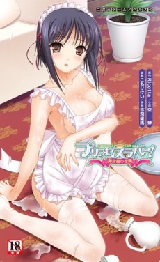 Cover Art for Princess Lover!: Fujikura Yuu no Koiji