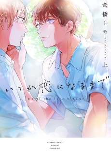 Cover Art for Itsuka koi ni Naru made