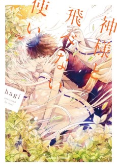 Cover Art for Kami-sama to Tobenai Tsukai