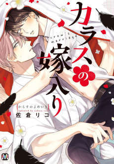 Cover Art for Karasu no Yomeiri