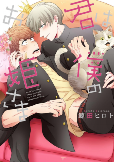 Cover Art for Kimi wa Boku no Ohime-sama