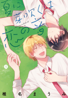 Cover Art for Natsu ni Mebuku wa Koi no Oto