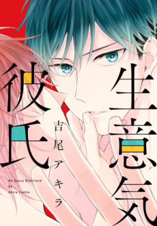 Cover Art for Namaiki Kareshi