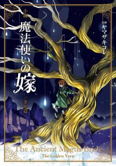 Cover Art for Mahoutsukai no Yome: Kinshi-hen