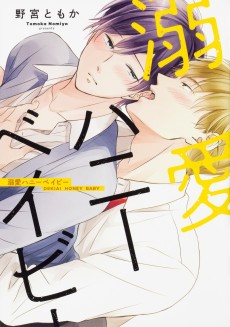 Cover Art for Dekiai Honey Baby