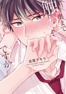 Cover Art for Oku Made Furete mo Ii Desu ka