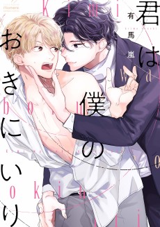 Cover Art for Kimi wa Boku no Okiniiri