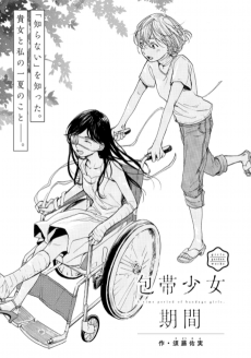 Cover Art for Houtai Shoujo Kikan