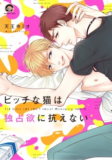 Cover Art for Bitch na Neko wa Dokusenyoku ni Aragaenai