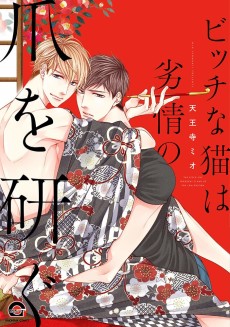 Cover Art for Bitch na Neko wa Retsujo no Tsume wo Togu