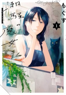 Cover Art for Shiosai no Majo