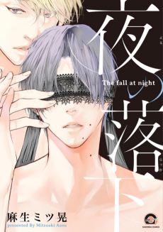 Cover Art for Yoru no Rakka